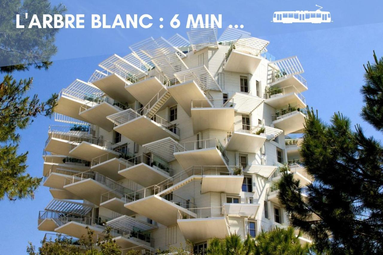Nouveau - Jungle Montpeul - Clim - Wifi Fibre - Netflix - 5' Du Centre Et Gare - Parking - Loggia - 15' Des Plages Montpellier Eksteriør billede