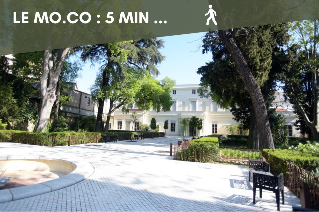 Nouveau - Jungle Montpeul - Clim - Wifi Fibre - Netflix - 5' Du Centre Et Gare - Parking - Loggia - 15' Des Plages Montpellier Eksteriør billede