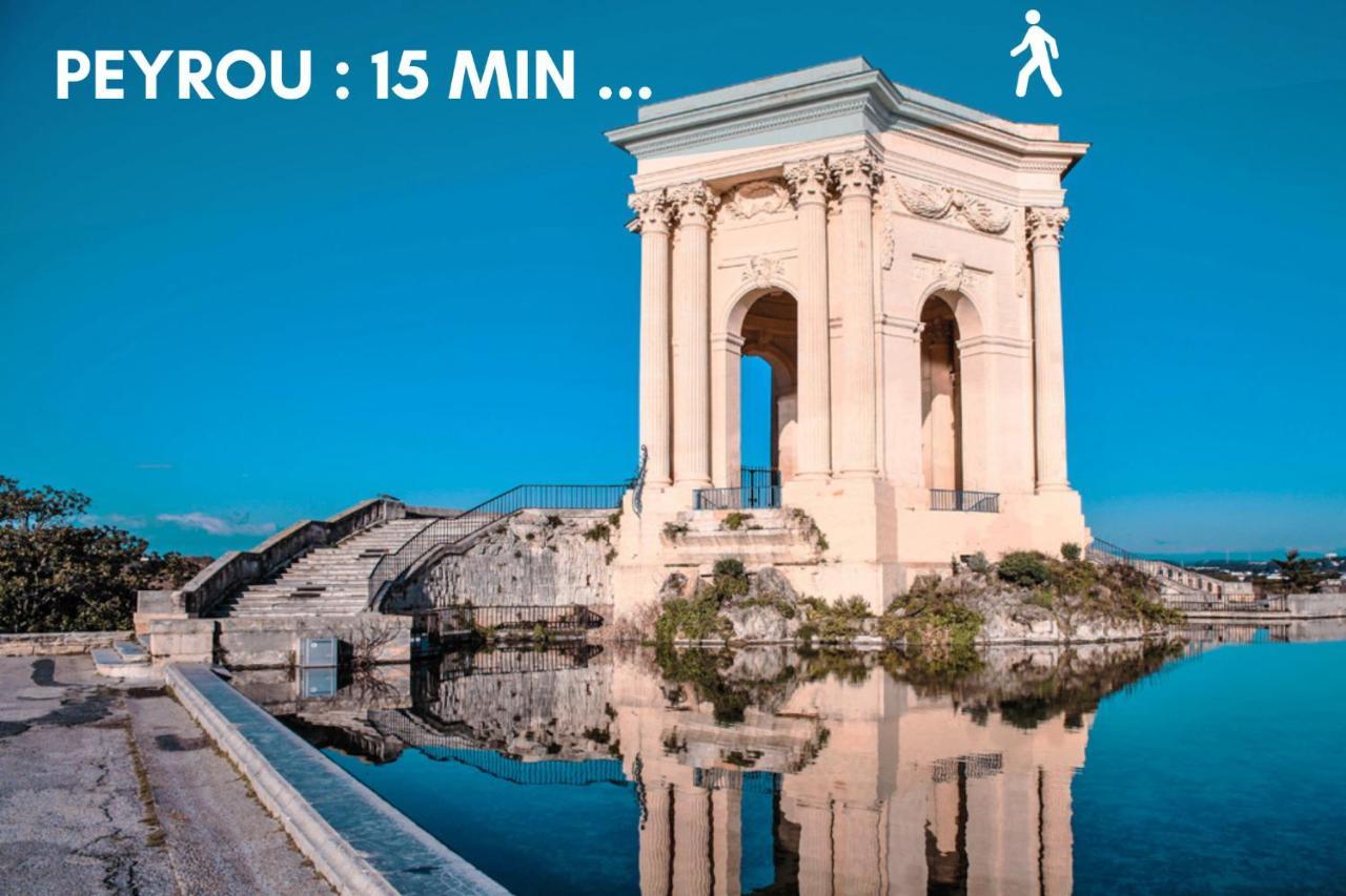 Nouveau - Jungle Montpeul - Clim - Wifi Fibre - Netflix - 5' Du Centre Et Gare - Parking - Loggia - 15' Des Plages Montpellier Eksteriør billede